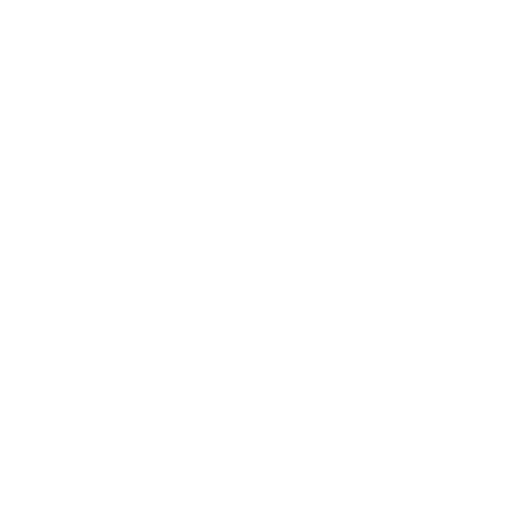 budget budget